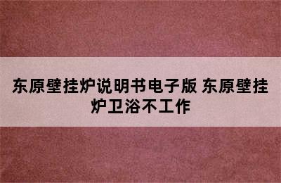 东原壁挂炉说明书电子版 东原壁挂炉卫浴不工作